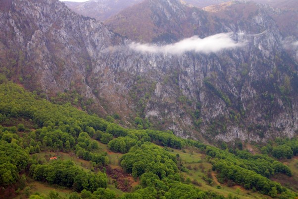 Ce poți face în Gorj? Explorează natura la pas prin județ și împrejurimi