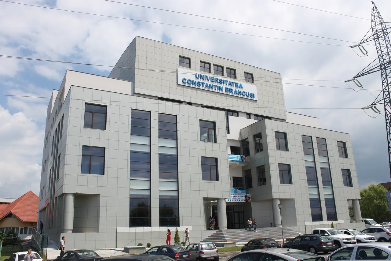 universitatea constantin brâncuși